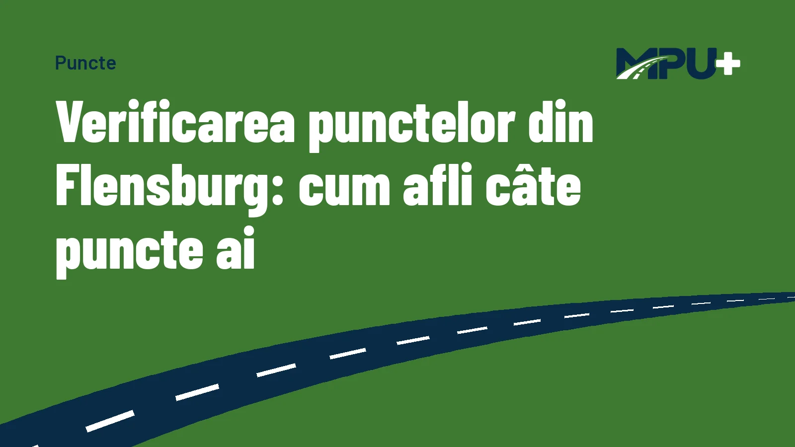 Titelbild: Verificarea punctelor din Flensburg: cum afli câte puncte ai